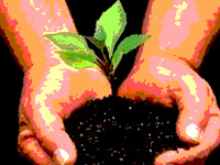 EcoSikh to plant million trees to mark 550th birth annivesary of Guru Nanak