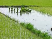 New irrigation scheme to link villages to water sources