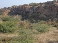 1.5 acres cleared of 200 trees in Aravalis