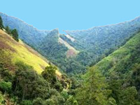 Save Arunachal environment: Ering