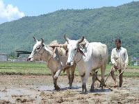30,000 farmers to learn drought-adaptive practices