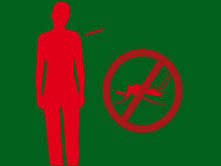 Spurt in dengue, chikungunya cases in Bengalurua