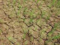 Environmentalist raises funds for drought-affected states