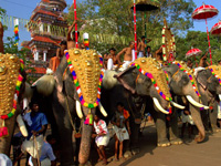 Laws may be Framed in Support of Jumbo Parade