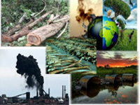 Environment related crimes down 11% in 2015: NCRB