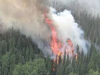 Poor mgmt reason for forest fires: Experts