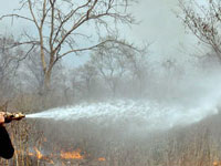 Forest fires may affect water quality: Experts