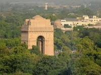 Delhi government mulls city's first tree census