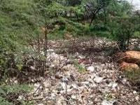 Forest dept issues notice to MCG for damage to Aravalli area from leachate