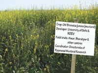 GM field trials in agri university farms?