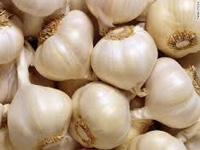 Garlic complements anti-malarial drug: Study
