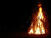 Green activists decry burning of live trees for Holika