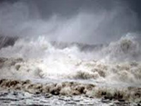 Hudhud aftermath: AP cyclonePoultry industry loss at Rs 500 cr