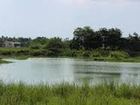 Crowd power to fund Perumbakkam lake clean-up