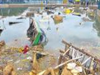 Post Ganesha idol immersion, toxic contents rise in lakes
