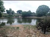 Green crusaders renew demand for de-silting of Sembakkam lake