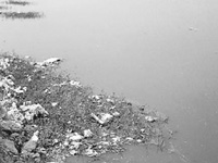 What’s a lake, NGT asks Haryana govt