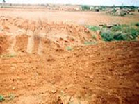 Panel sought to look into land acquisition in Jharkhand