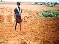 Rajasthan govt cornered over change of land use