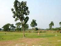 Haryana revokes land acquisition