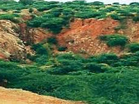 Revenue dept to blame for illegal mining in Aravalis: Conservator