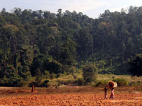 State approaches Centre on obtaining forest clearances