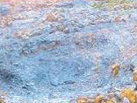 Govt cancelled allocation of all mines, says Parnami