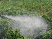 Pesticide safety plan on the anvil