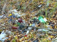 Pilgrims’ litter puts forest jumbos on high-plastic diet