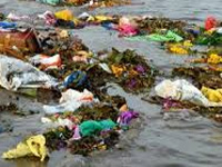 NGT asks council to treat puja material in 2 weeks
