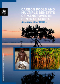 Carbon pools and multiple benefits of mangroves in Central Africa: assessment for REDD+