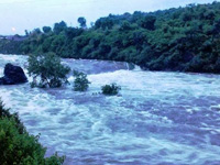 Altering Kaliasot river route: NGT turns up heat on govt