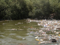 River Pollution: MPCB issues closure notices to 100 industrial units along Mithi