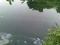 CM's claim of clean Tirur River an eyewash'T P Nijeesh