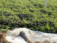 Report raises a stink over ‘broken’ sewage system