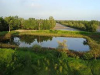Sundarbans threatened by ‘heedless industrialisation’, says UN expert