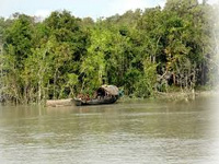 Environmental loss worth Rs 1290 crore due to climate change in Sundarbans