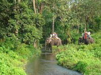 Panel to look into eco violations in Sunderbans