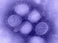 15 cases of H1N1 reported in June