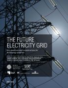 The future electricity grid: key questions and considerations for Developing Countries
