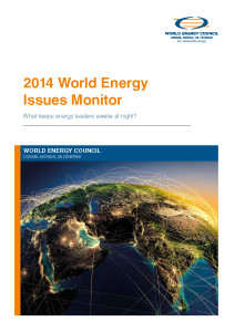 World energy issues monitor 2014