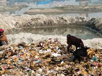 Waste disposal site in Sector 38 poses threat to surface, groundwater aquifers, says study