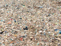 NGT to Raisen collector: Allot 11 acres for MSW site in Mandideep