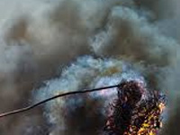 Eloor, Tripunithura say ‘Yes’ to burning dry waste