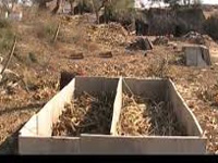 Civic body shows the way, makes 500 kg compost from flower waste
