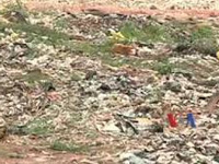 Civic body’s claims on solid waste management, garbage-free city fall flat