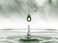 Rainwater use: New plea in NGT