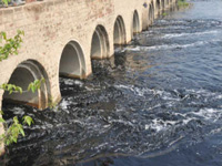 Y’nagar, Jagadhri effluents harm 27 Karnal villages