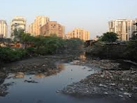 Petition filed against Falgu water pollution