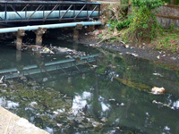 Houses, commercial units polluting St Inez creek